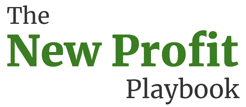 The New Profit Playbook